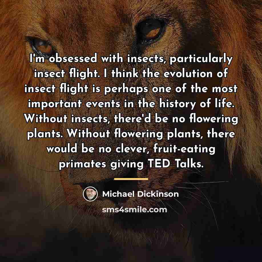 “I'm obsessed with insects, particularly insect flight. I think the…” quote by Michael Dickinson