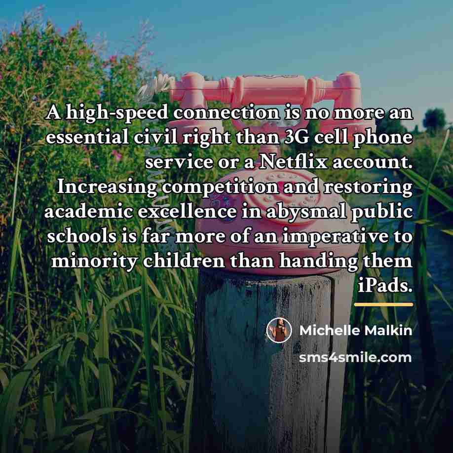 “A high-speed connection is no more an essential civil right…” quote by Michelle Malkin