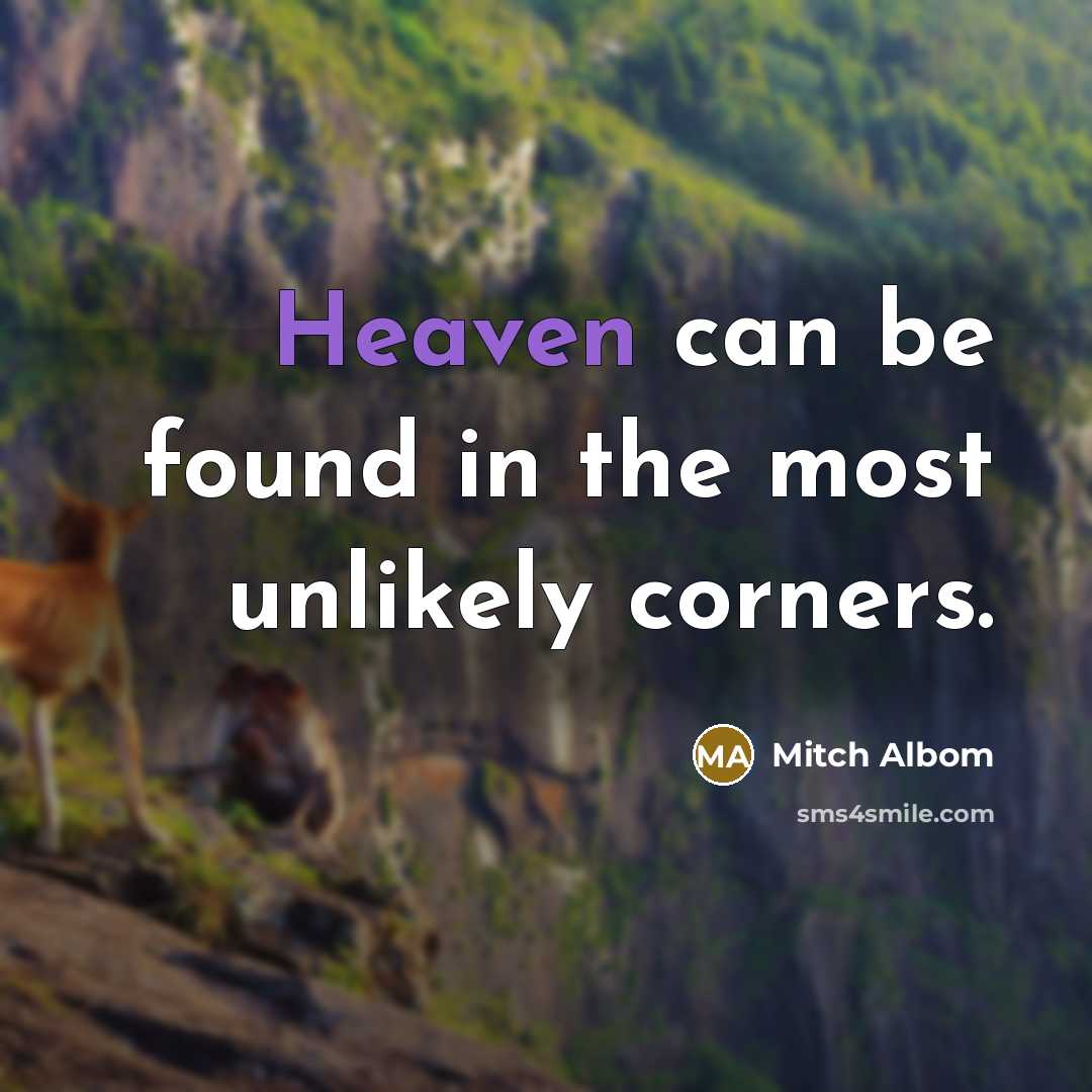 “Heaven can be found in the most unlikely corners.” quote by Mitch Albom
