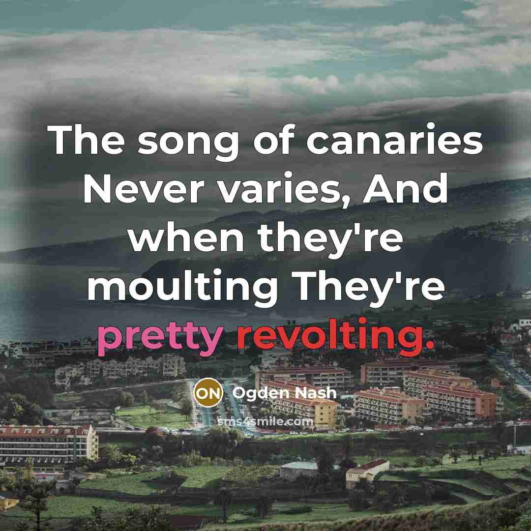 “The song of canaries Never varies, And when they're moulting…” quote by Ogden Nash