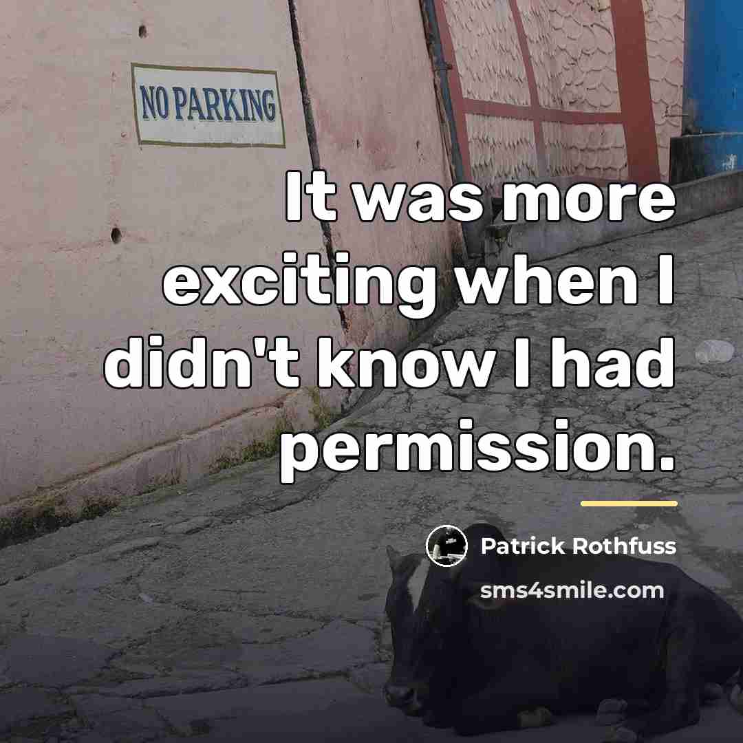 “It was more exciting when I didn't know I had…” quote by Patrick Rothfuss