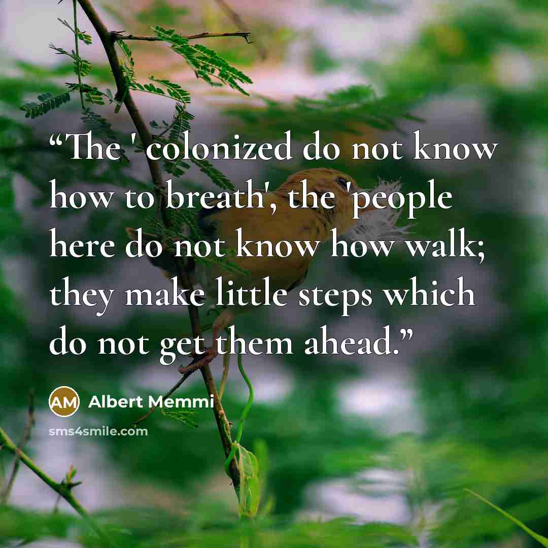 “The ' colonized do not know how to breath', the 'people here do not know how walk; they make little steps which do not get them ahead.” quote by Albert Memmi