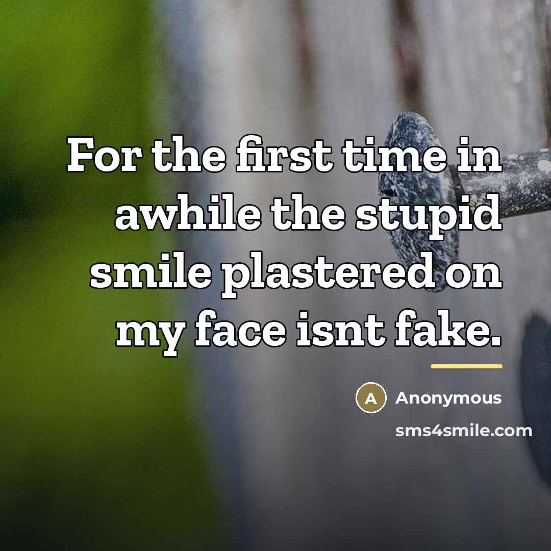 “For the first time in awhile the stupid smile plastered…” quote by Anonymous