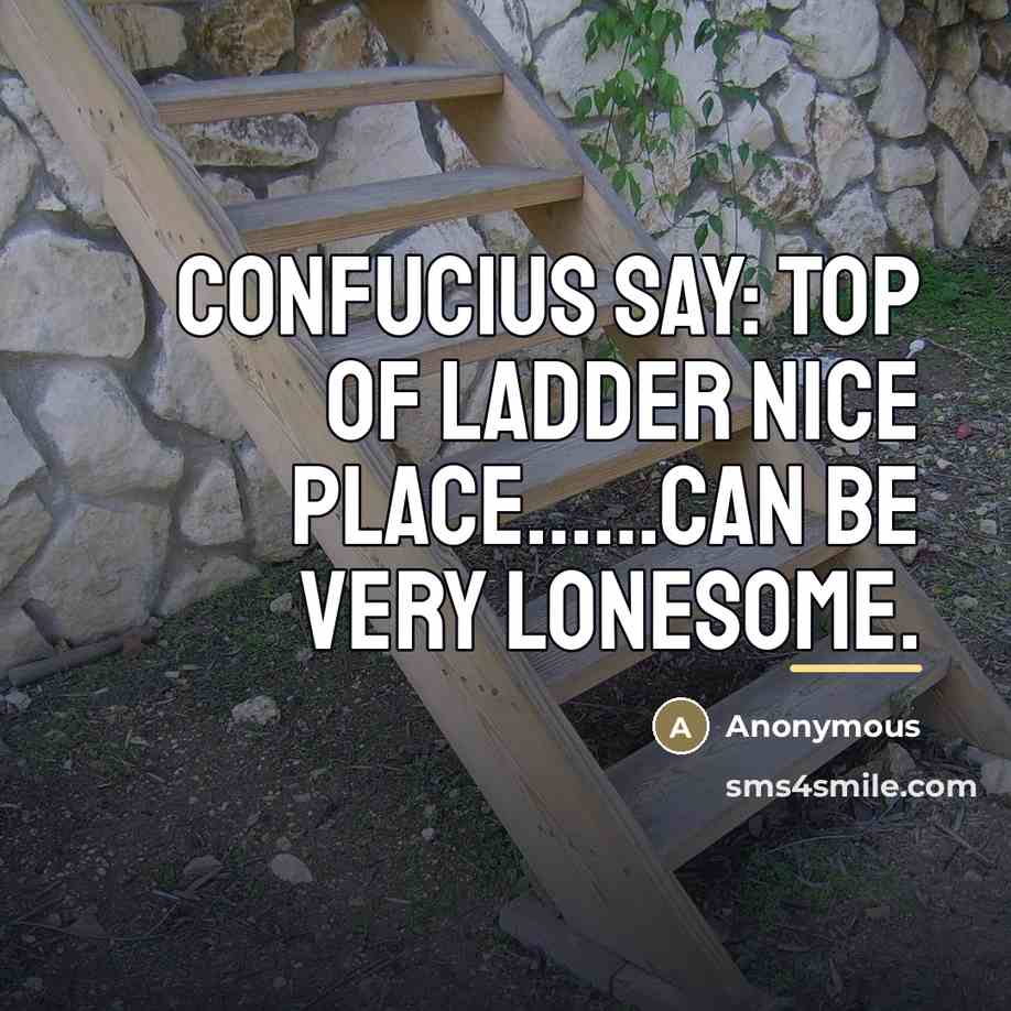“Confucius say: top of ladder nice place…can be very lonesome.” quote by Anonymous