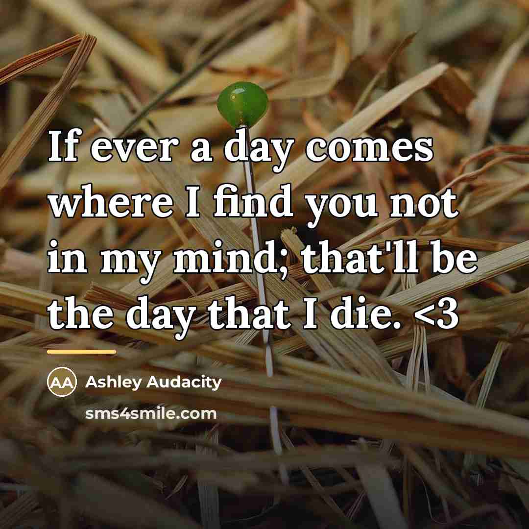 “If ever a day comes where I find you not…” quote by Ashley Audacity