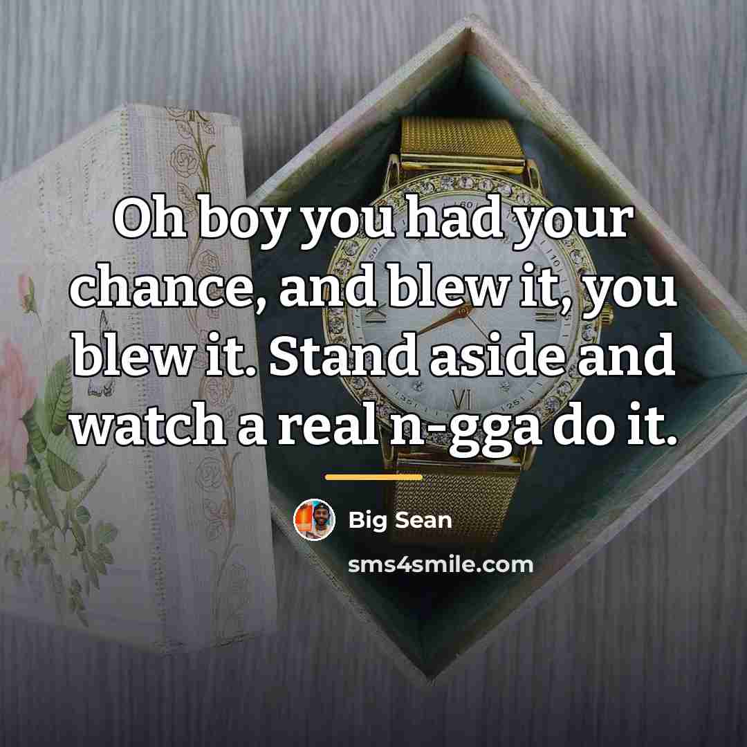 “Oh boy you had your chance, and blew it, you…” quote by Big Sean