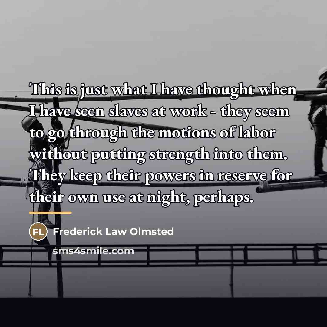 “This is just what I have thought when I have…” quote by Frederick Law Olmsted