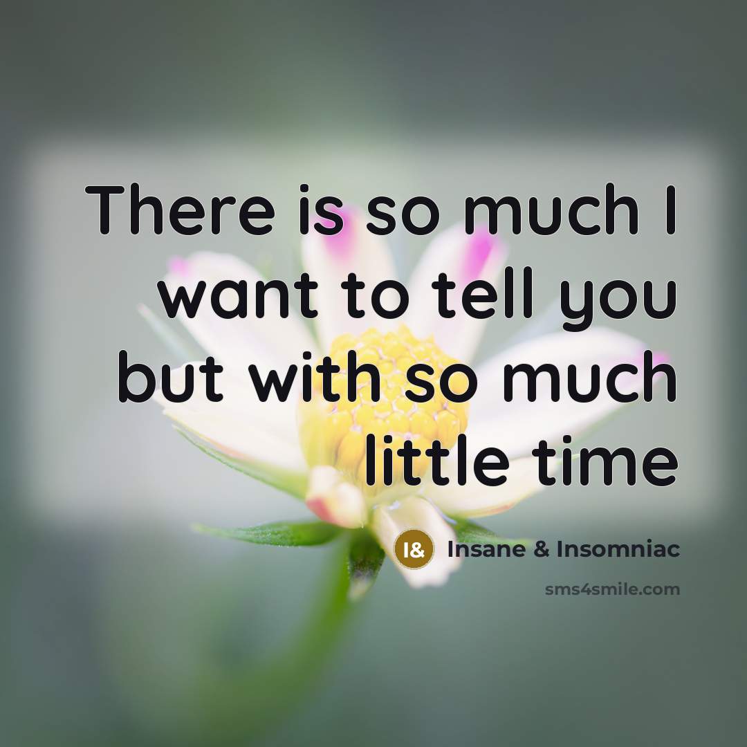 “There is so much I want to tell you but…” quote by Insane & Insomniac