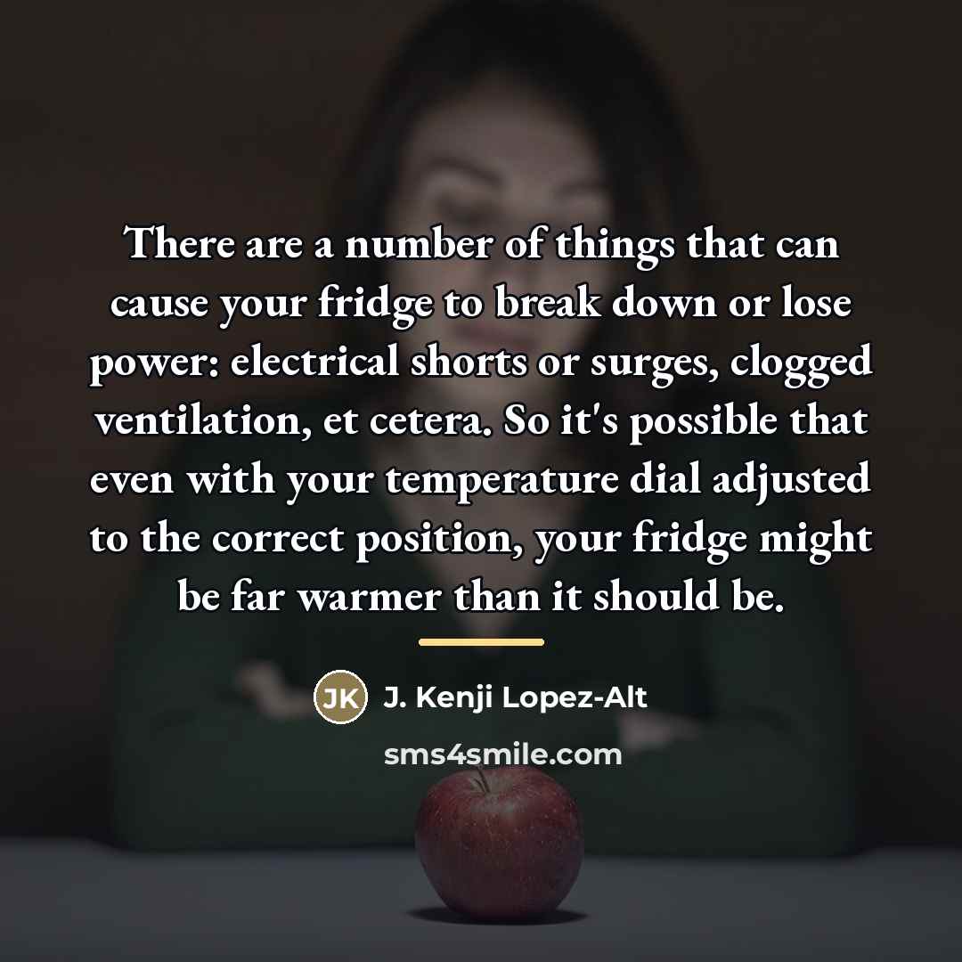 “There are a number of things that can cause your…” quote by J. Kenji Lopez-Alt