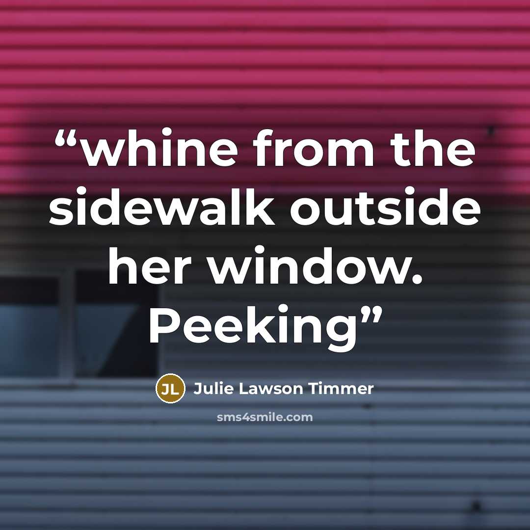“whine from the sidewalk outside her window. Peeking” quote by Julie Lawson Timmer