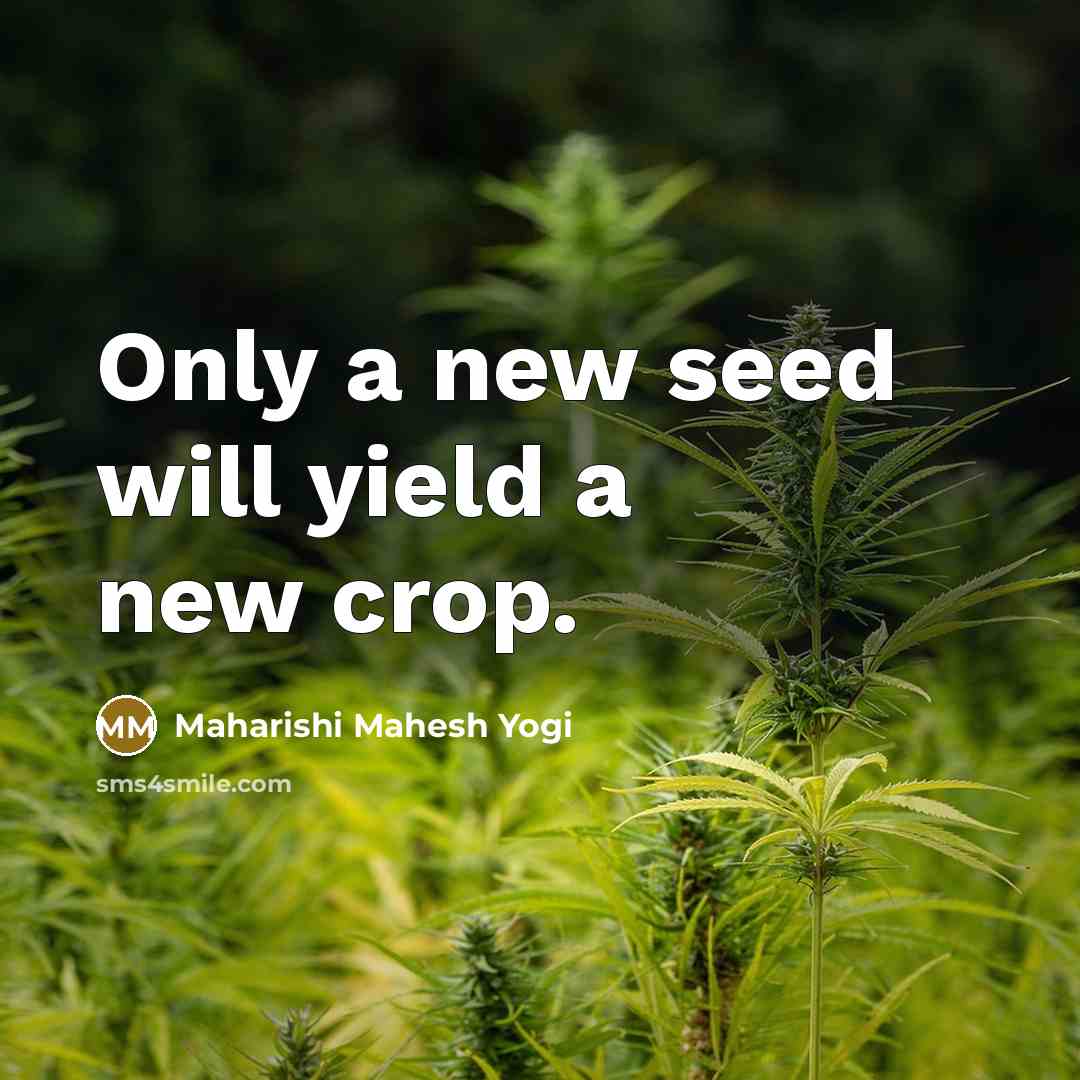 “Only a new seed will yield a new crop.…” quote by Maharishi Mahesh Yogi