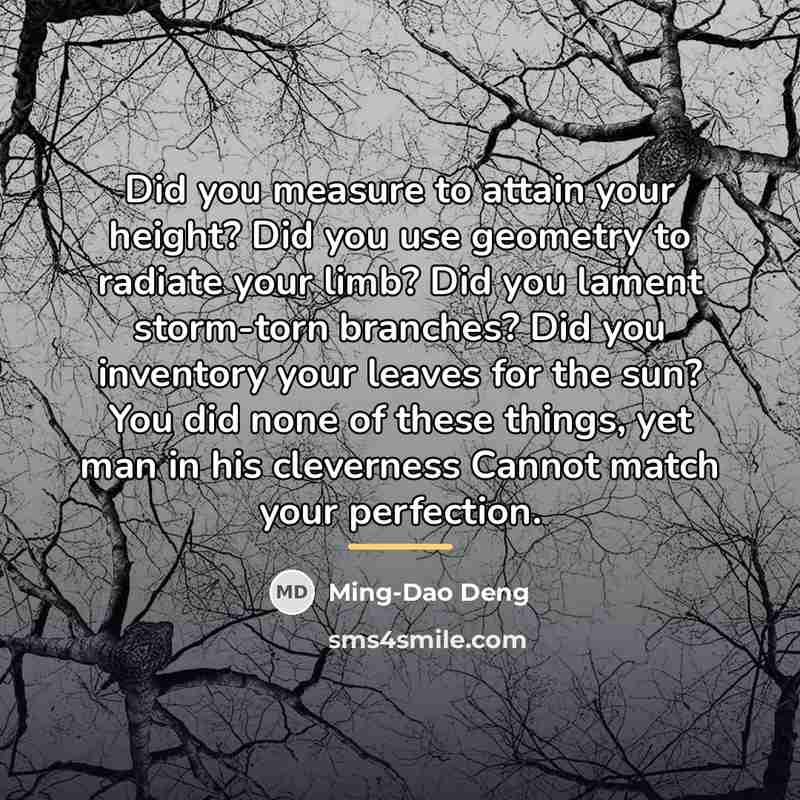 “Did you measure to attain your height? Did you use…” quote by Ming-Dao Deng