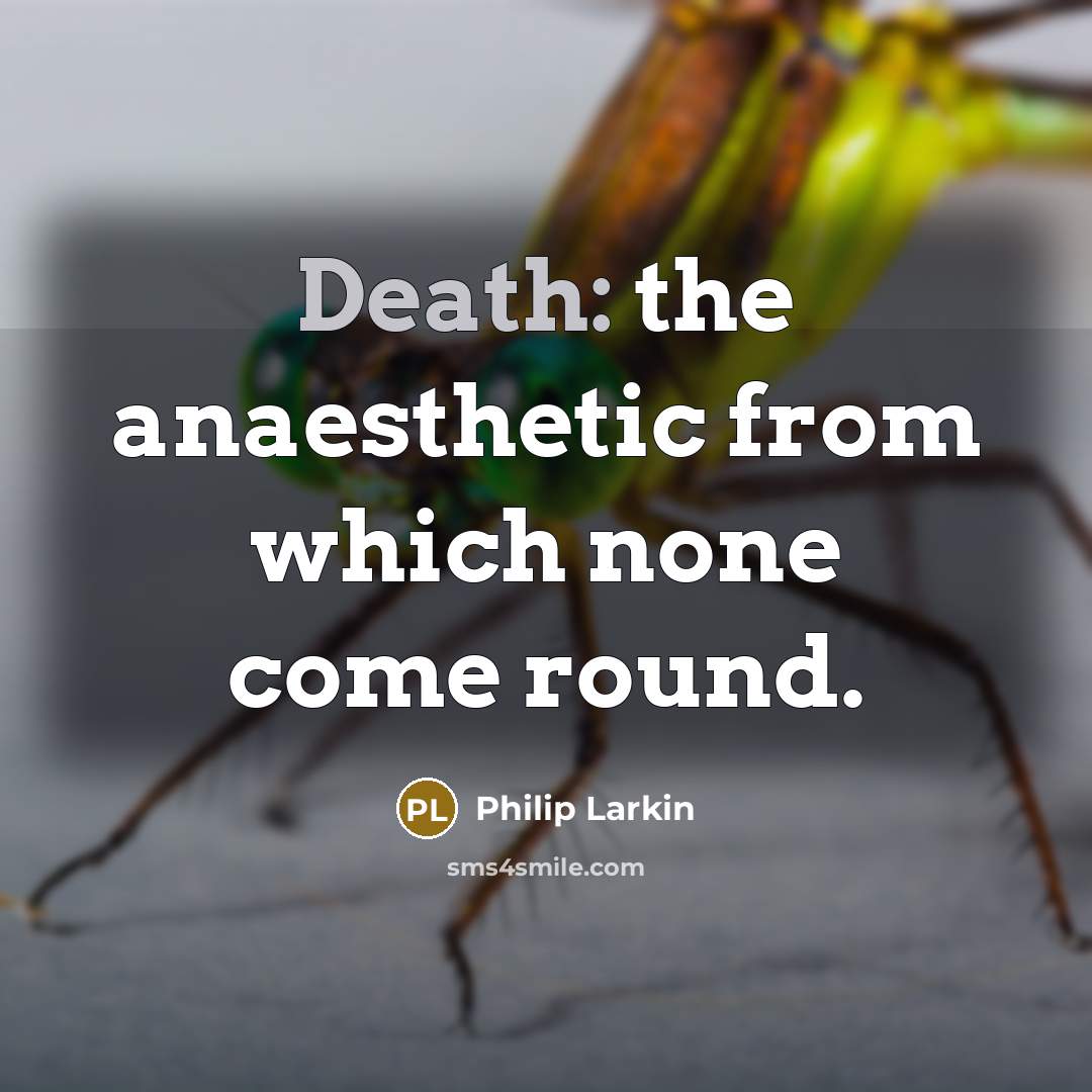 “Death: the anaesthetic from which none come round.…” quote by Philip Larkin