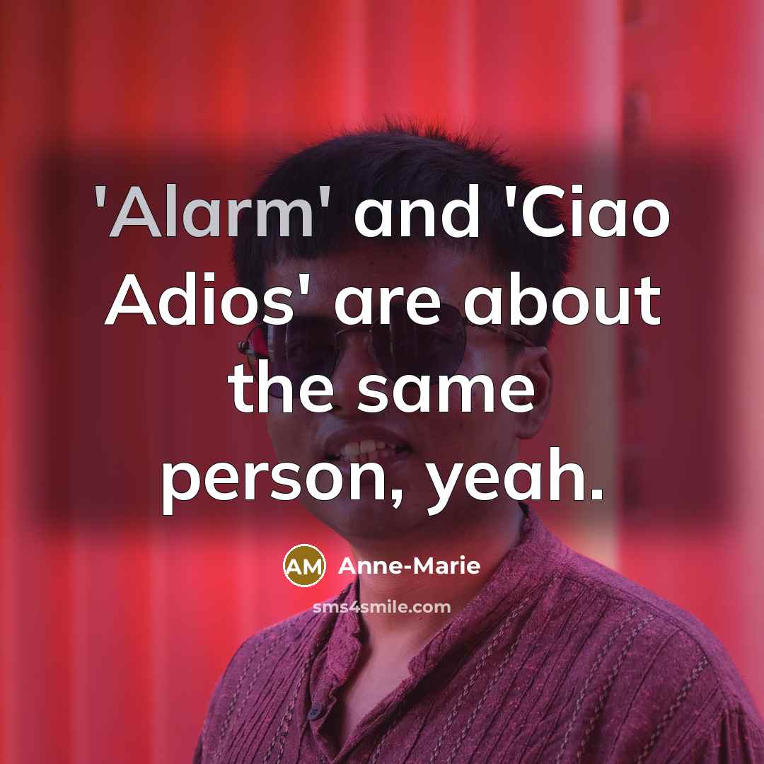 “'Alarm' and 'Ciao Adios' are about the same person, yeah.…” quote by Anne-Marie