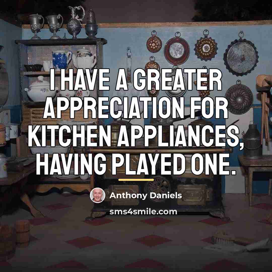 “I have a greater appreciation for kitchen appliances, having played…” quote by Anthony Daniels