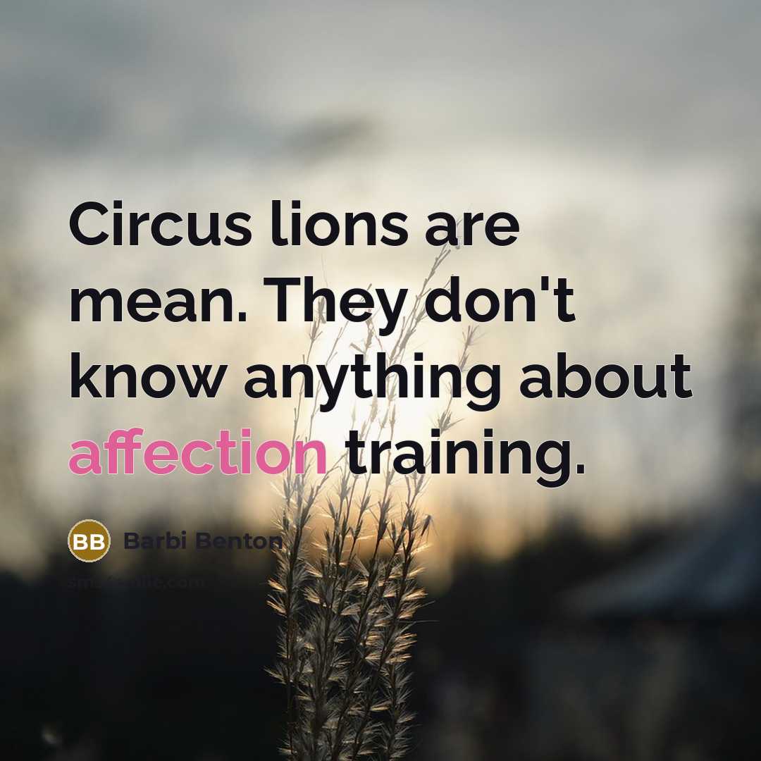 “Circus lions are mean. They don't know anything about affection…” quote by Barbi Benton