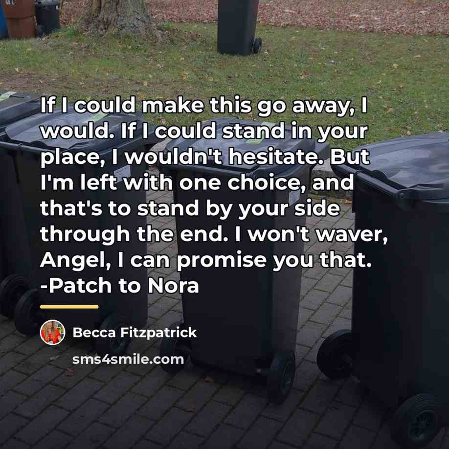 “If I could make this go away, I would. If…” quote by Becca Fitzpatrick
