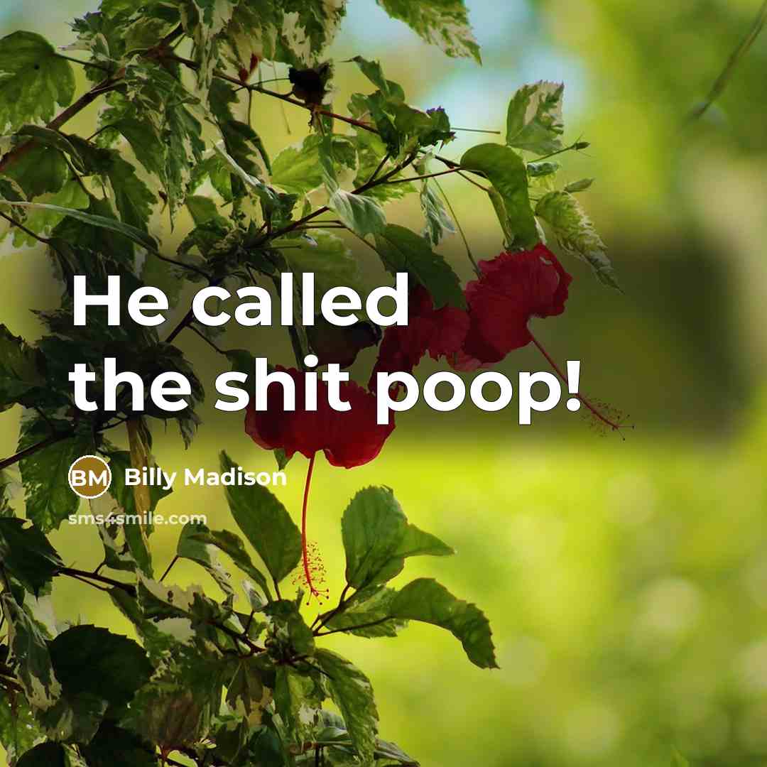 “He called the shit poop!…” quote by Billy Madison