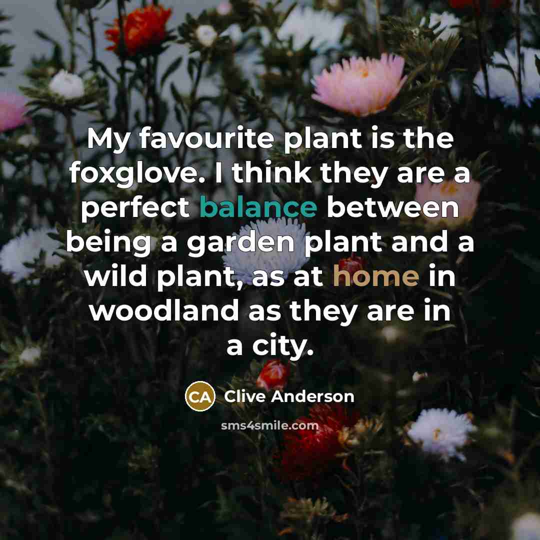 “My favourite plant is the foxglove. I think they are…” quote by Clive Anderson