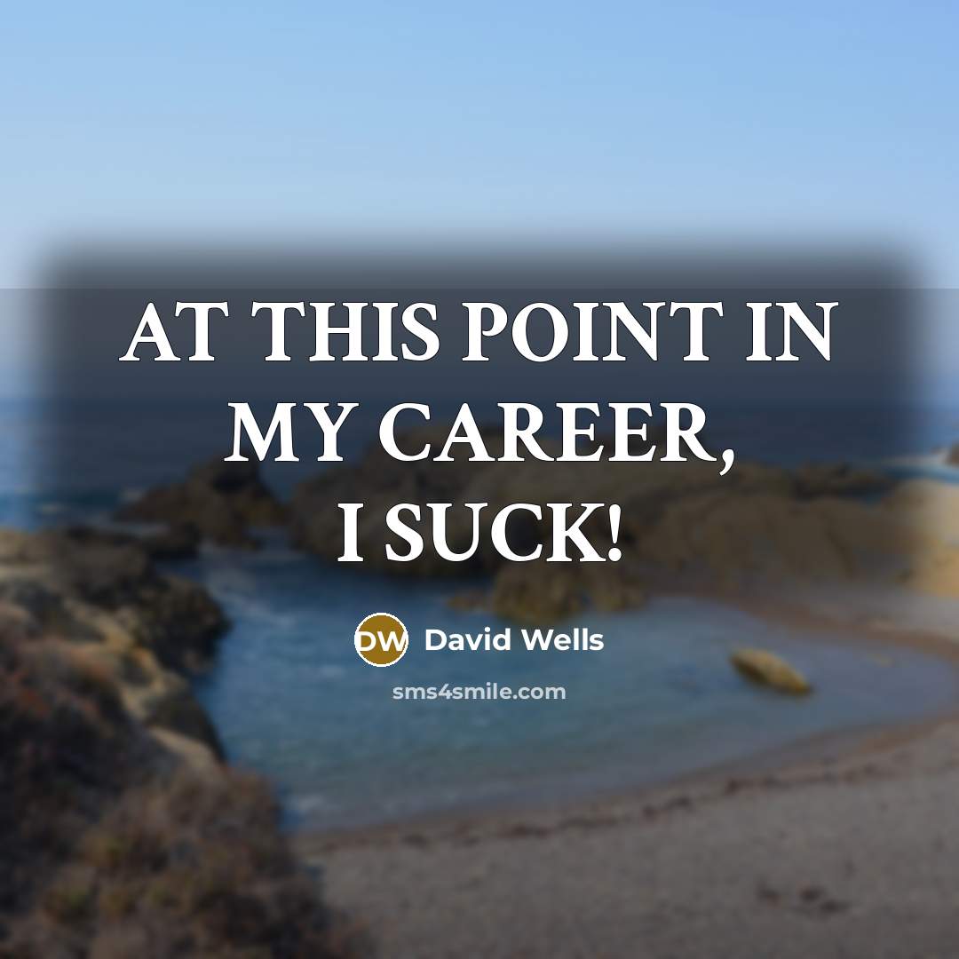 “AT THIS POINT IN MY CAREER, I SUCK!” quote by David Wells