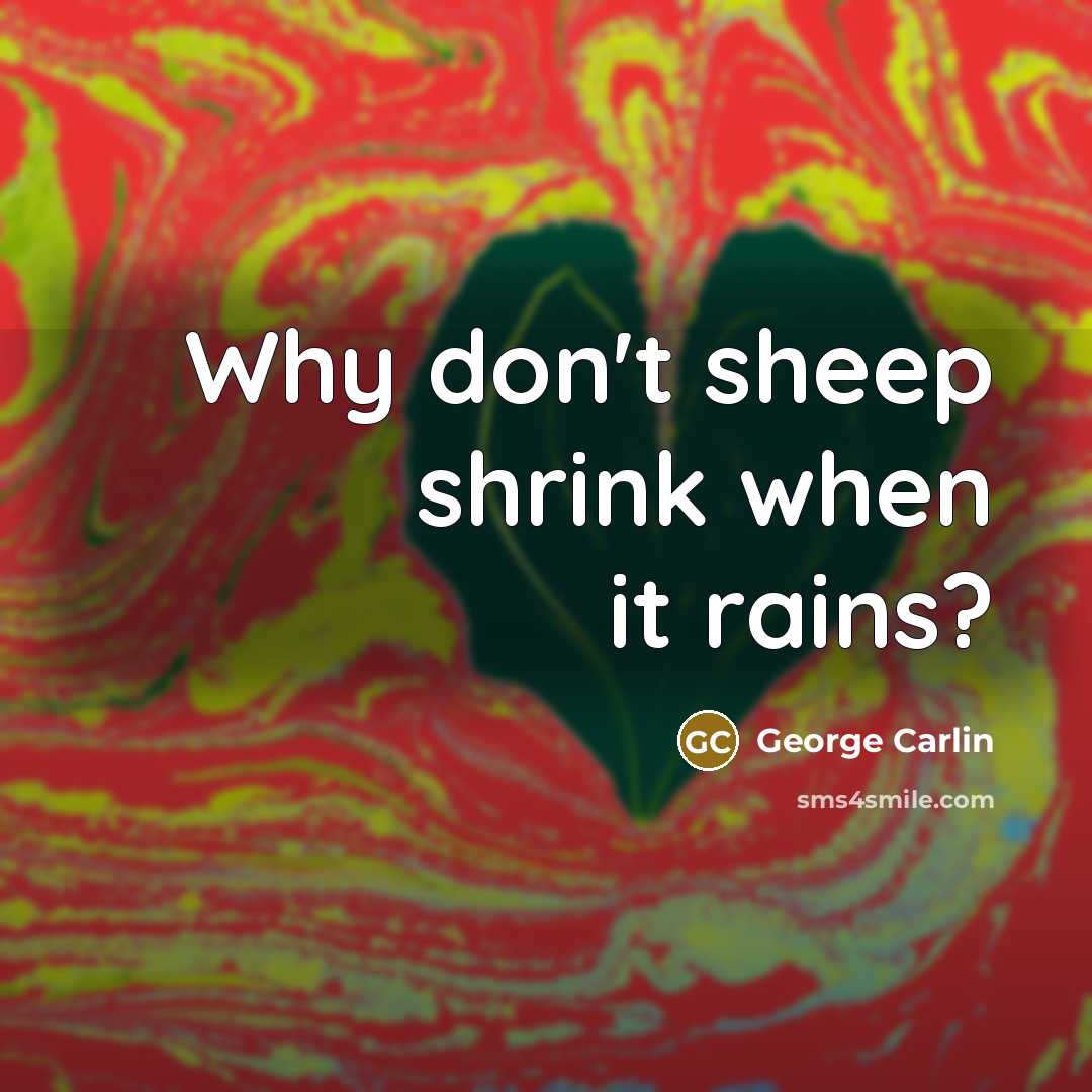 “Why don't sheep shrink when it rains?…” quote by George Carlin