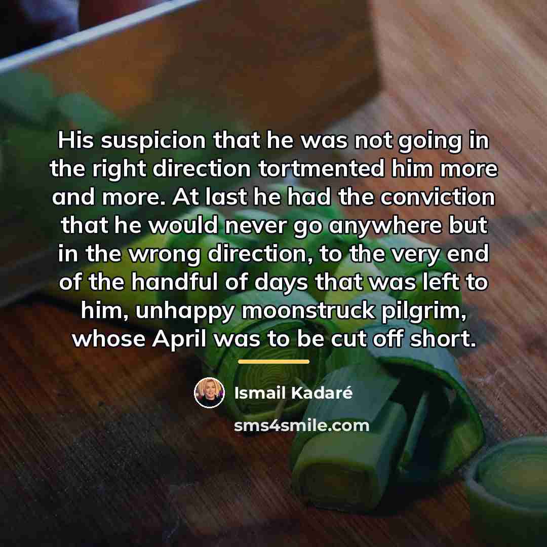 “His suspicion that he was not going in the right…” quote by Ismail Kadaré