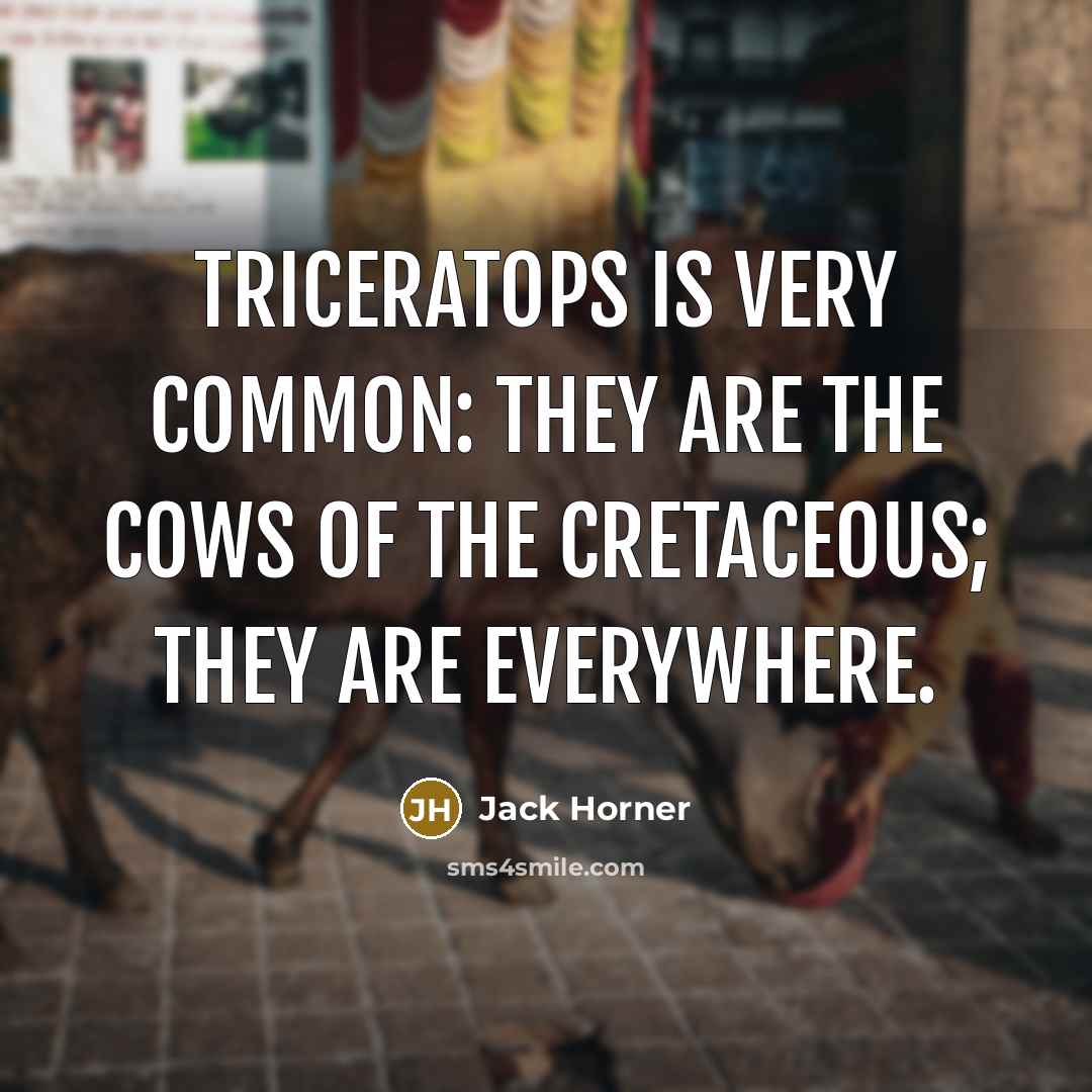 “Triceratops is very common: they are the cows of the…” quote by Jack Horner