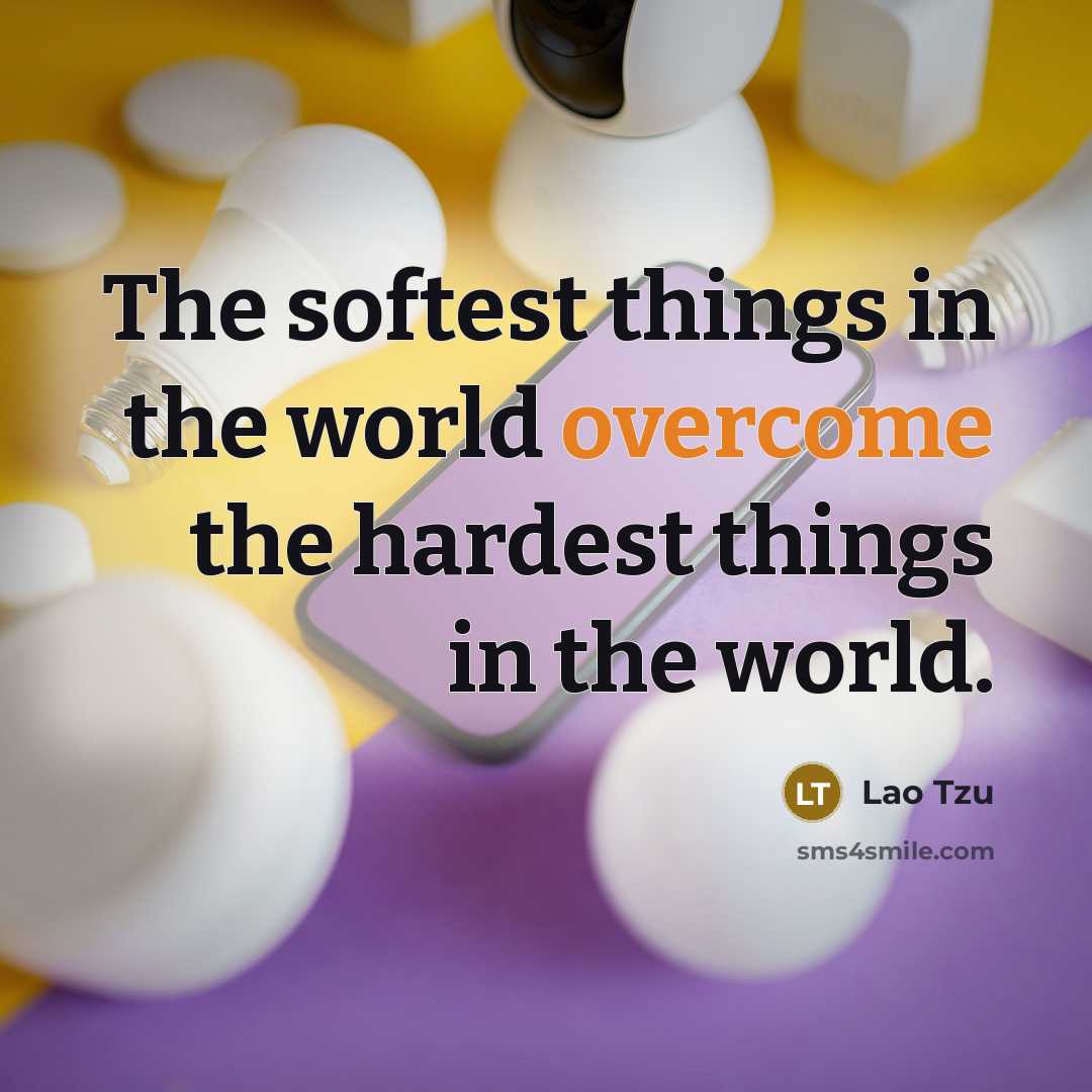 “The softest things in the world overcome the hardest things…” quote by Lao Tzu