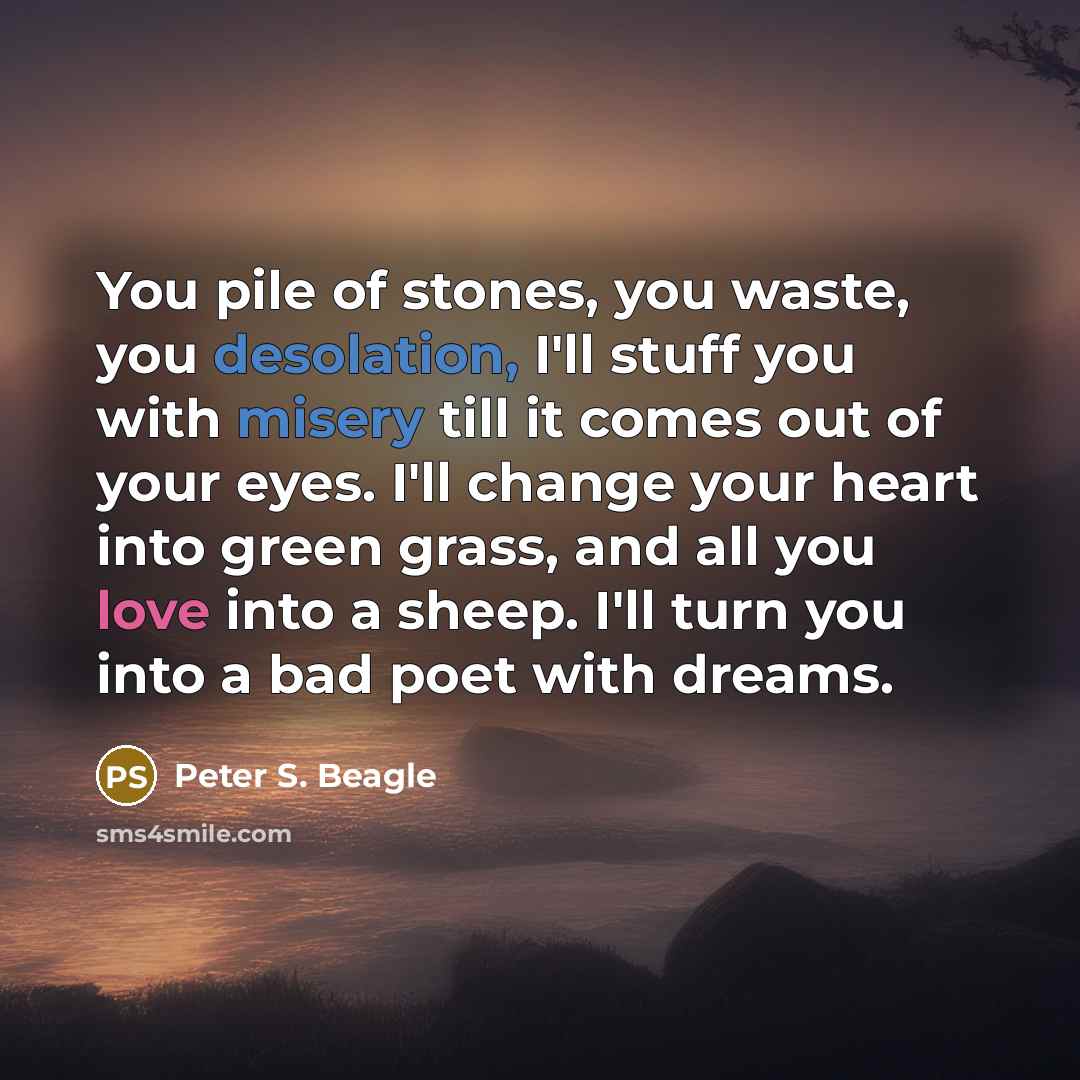 “You pile of stones, you waste, you desolation, I'll stuff…” quote by Peter S. Beagle