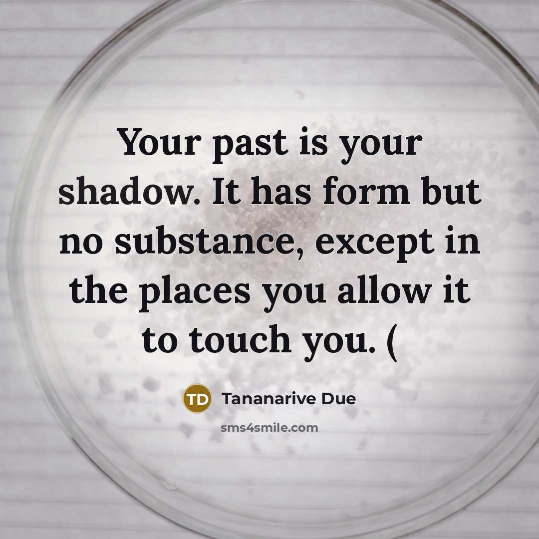 “Your past is your shadow. It has form but no…” quote by Tananarive Due