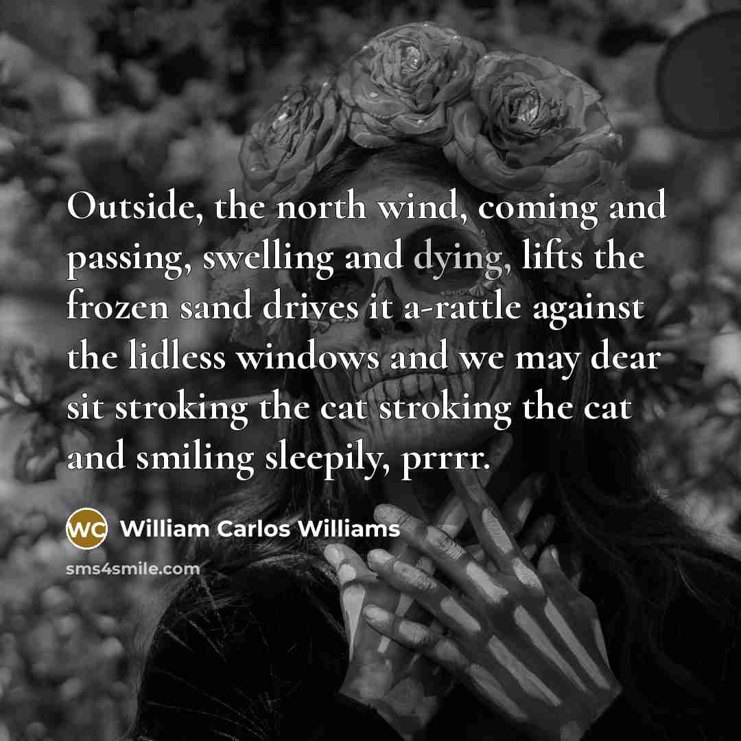 “Outside, the north wind, coming and passing, swelling and dying,…” quote by William Carlos Williams