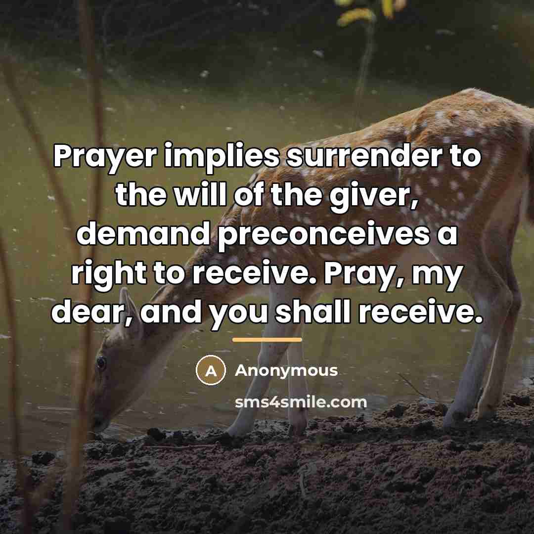 “Prayer implies surrender to the will of the giver, demand…” quote by Zeina Glo in Beauty Cravings Prayer
