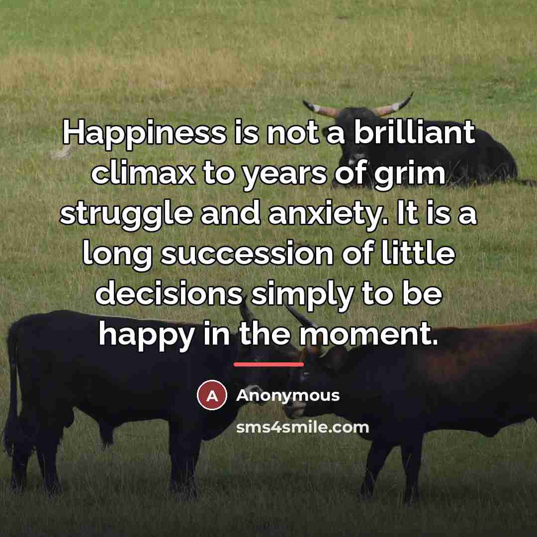“Happiness is not a brilliant climax to years of grim…” quote by Anonymous