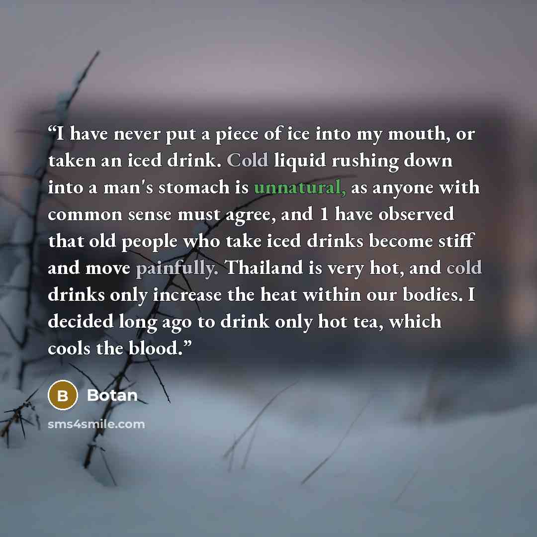 “I have never put a piece of ice into my mouth, or taken an iced drink. Cold liquid rushing down into a man's stomach is unnatural, as anyone with common sense must agree, and 1 have observed that old people who take iced drinks become stiff and move painfully. Thailand is very hot, and cold drinks…” quote by Botan