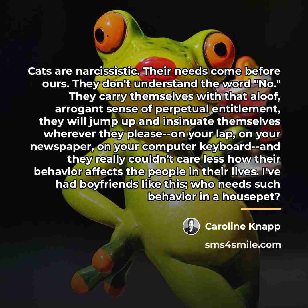 “Cats are narcissistic. Their needs come before ours. They don't…” quote by Caroline Knapp