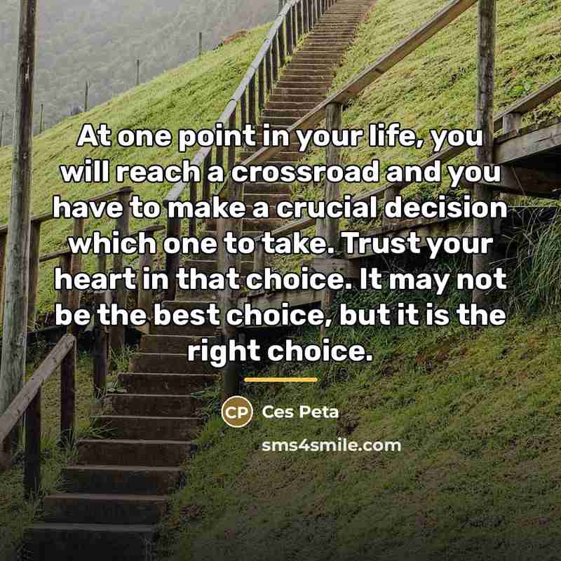 “At one point in your life, you will reach a…” quote by Ces Peta