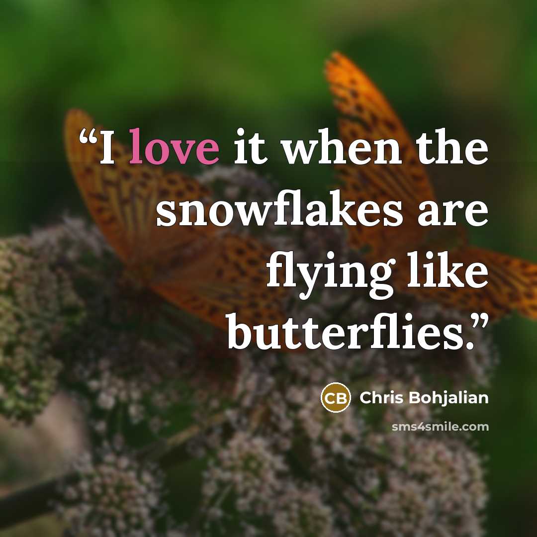 “I love it when the snowflakes are flying like butterflies.” quote by Chris Bohjalian