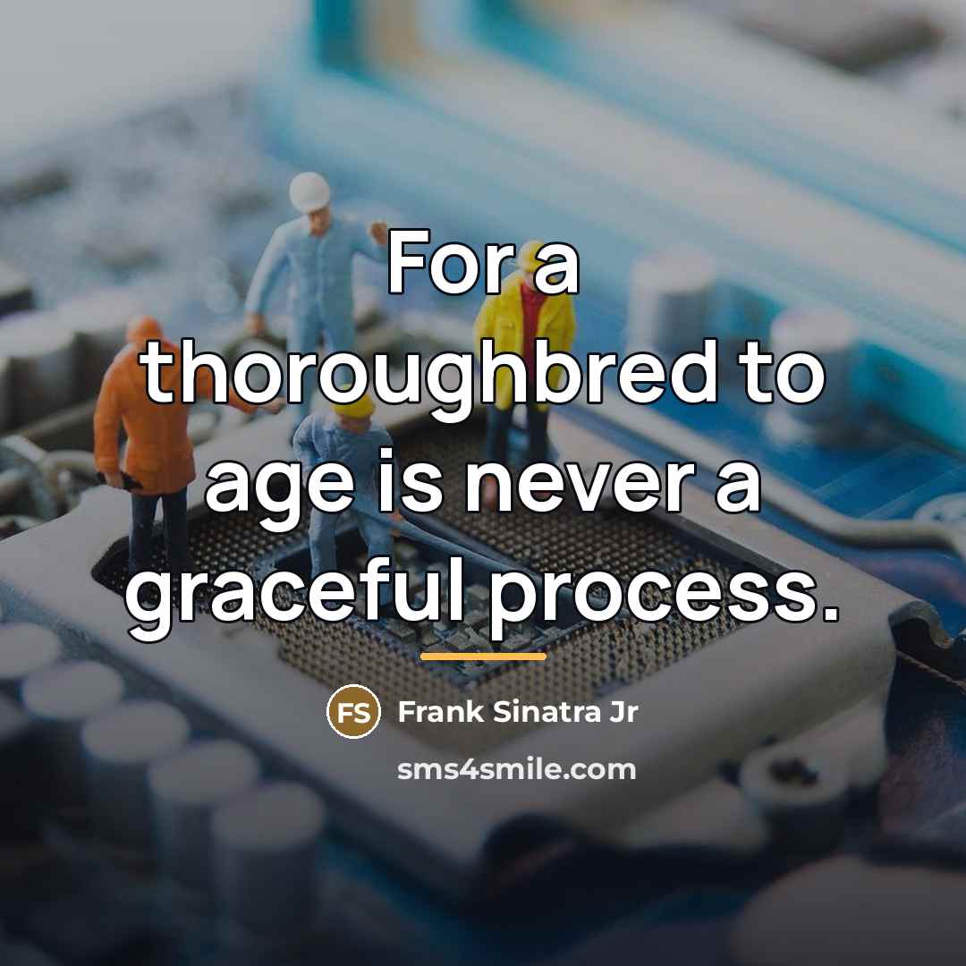 “For a thoroughbred to age is never a graceful process.…” quote by Frank Sinatra Jr