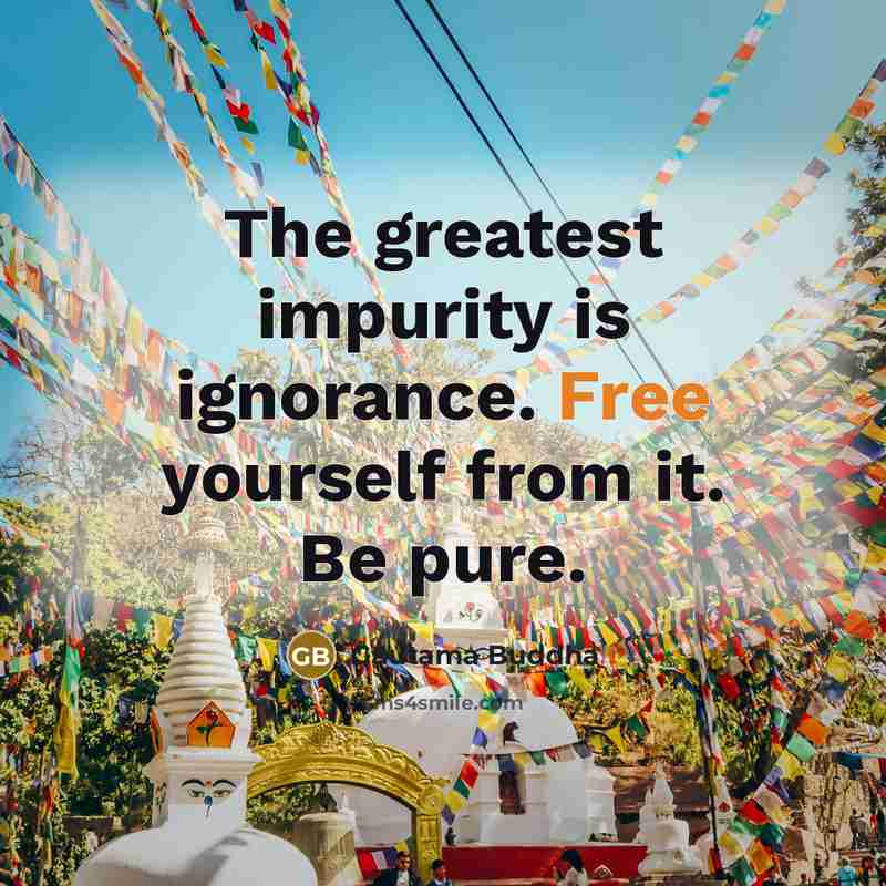 “The greatest impurity is ignorance. Free yourself from it. Be…” quote by Gautama Buddha