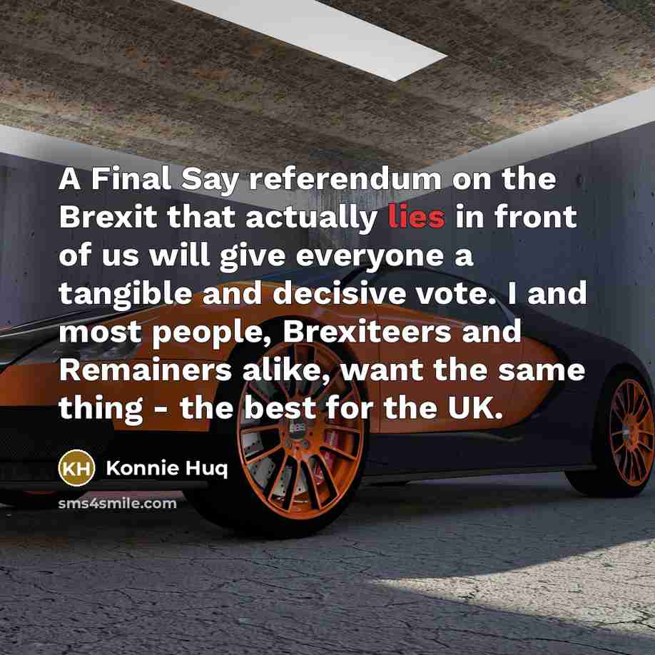 “A Final Say referendum on the Brexit that actually lies…” quote by Konnie Huq