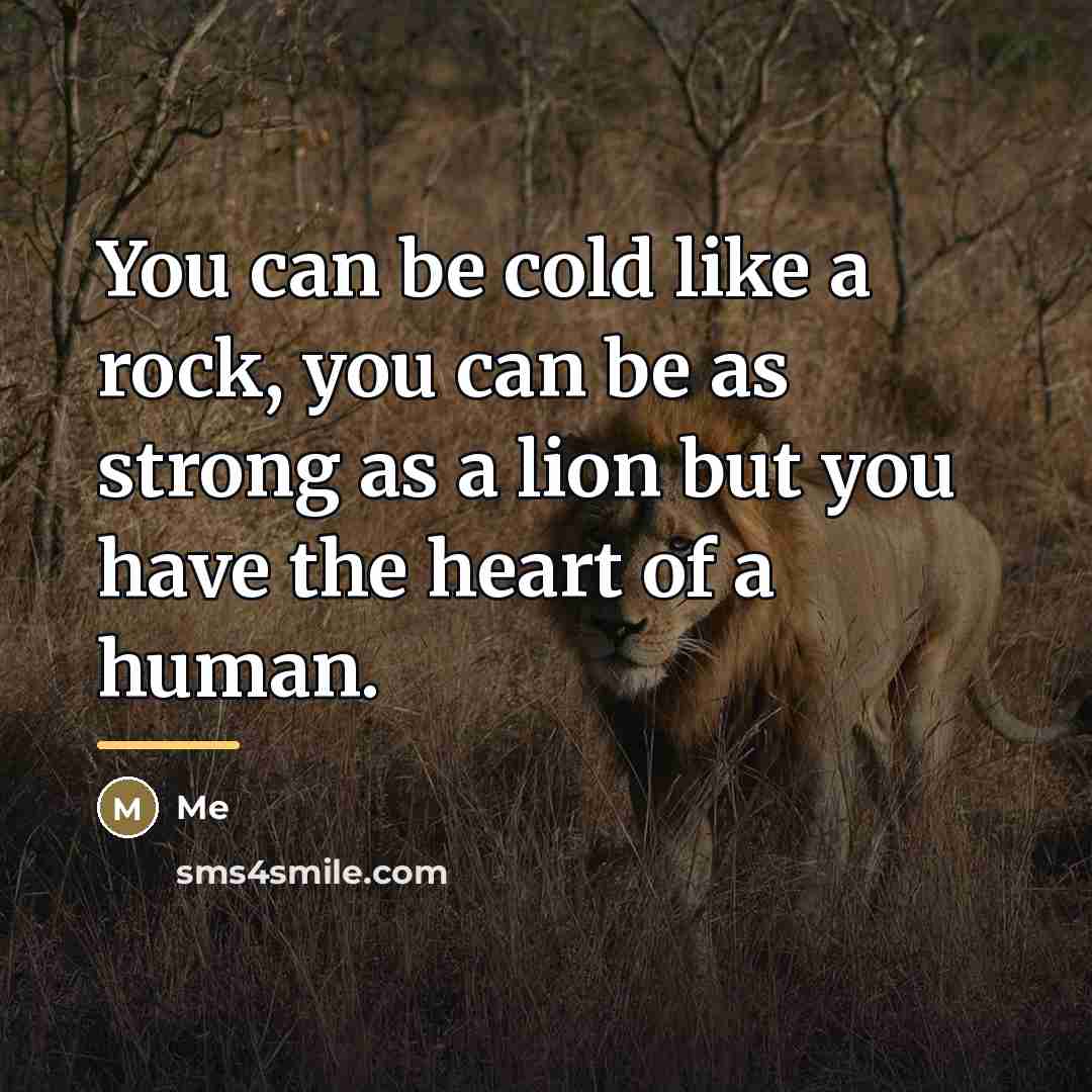 “You can be cold like a rock, you can be…” quote by Me