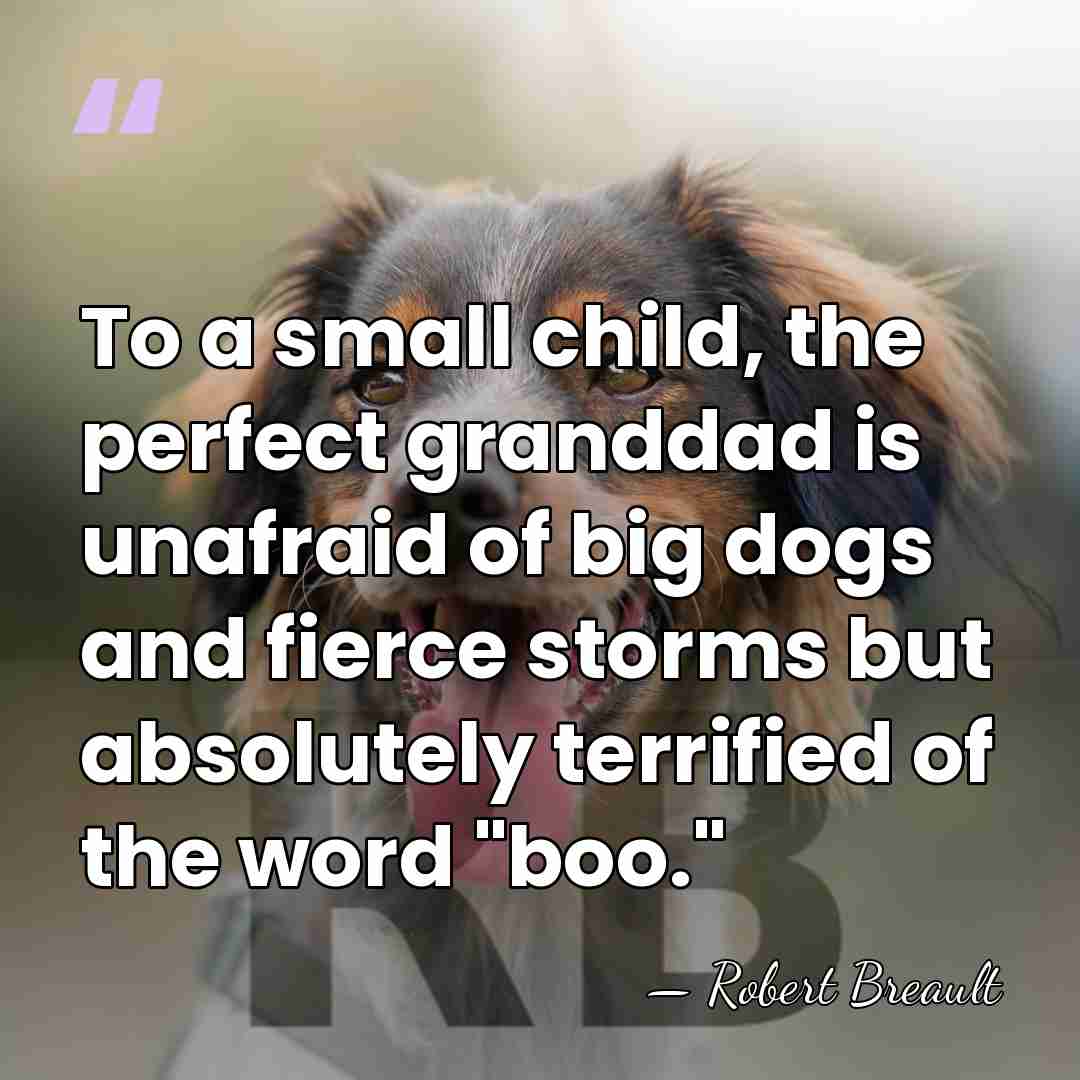 To a small child, the perfect granddad is unafraid of big dogs&hellip; - Robert Breault