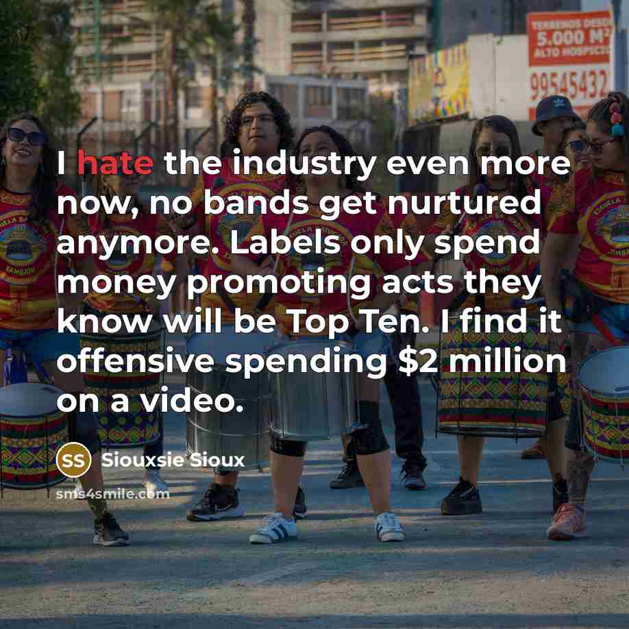 “I hate the industry even more now, no bands get…” quote by Siouxsie Sioux