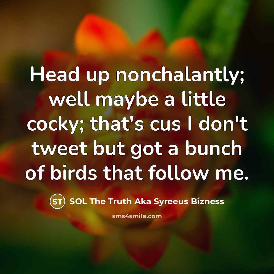 “Head up nonchalantly; well maybe a little cocky; that's cus I don't tweet but got a bunch of birds that follow me.” quote by SOL The Truth Aka Syreeus Bizness