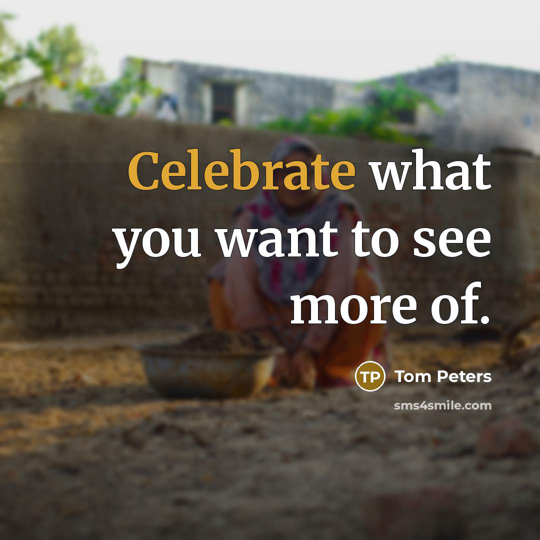 “Celebrate what you want to see more of.…” quote by Tom Peters