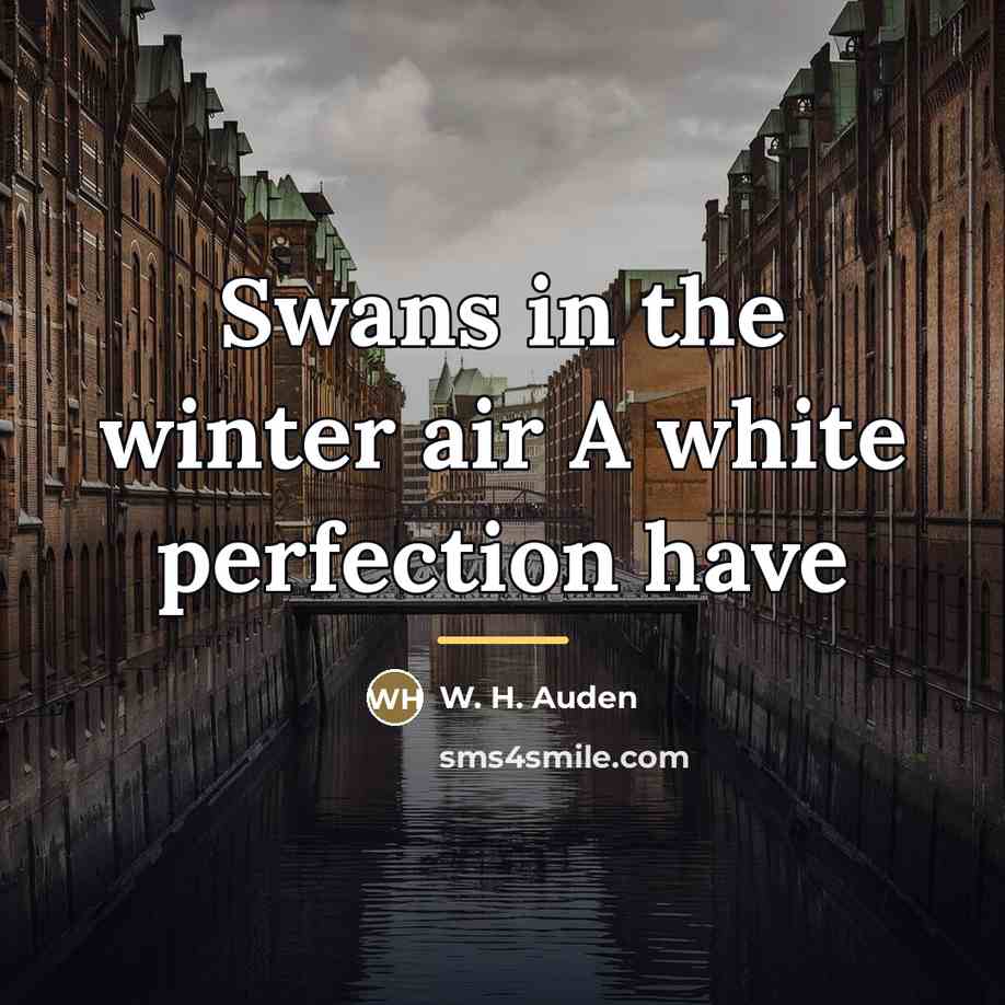 “Swans in the winter air A white perfection have…” quote by W. H. Auden