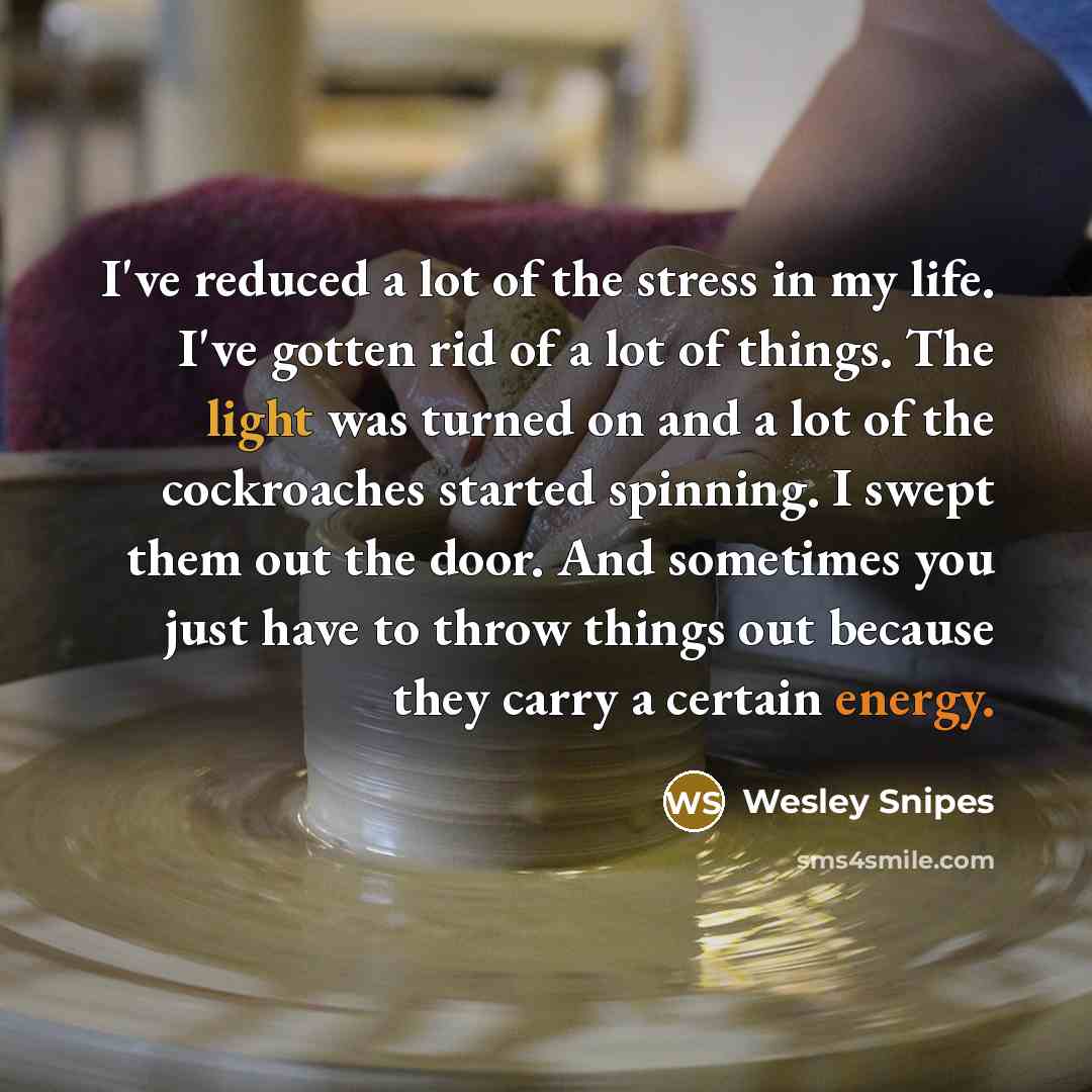 “I've reduced a lot of the stress in my life.…” quote by Wesley Snipes