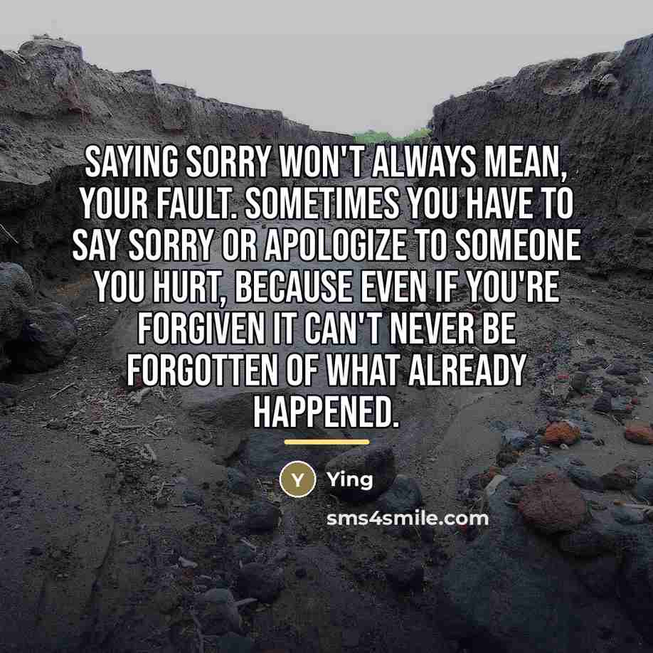 “SAYING SORRY WON'T ALWAYS MEAN, YOUR FAULT. SOMETIMES YOU HAVE…” quote by Ying