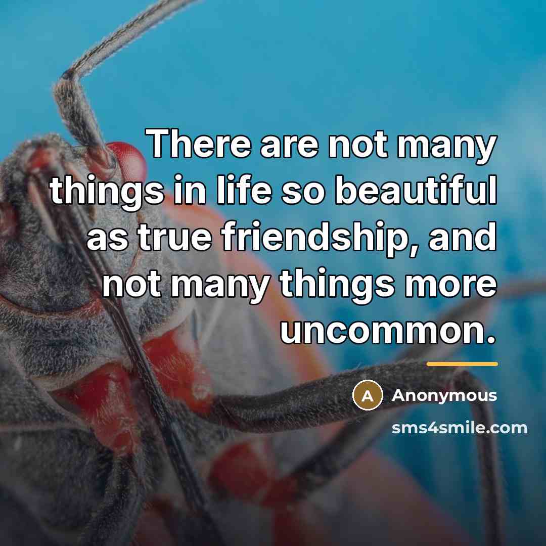 “There are not many things in life so beautiful as…” quote by Anonymous