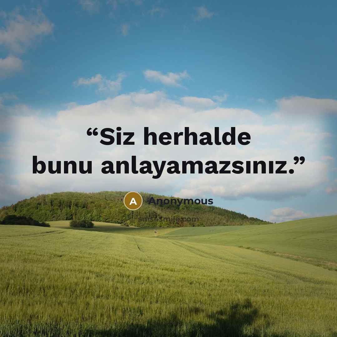 “Siz herhalde bunu anlayamazsınız.” quote by Anonymous